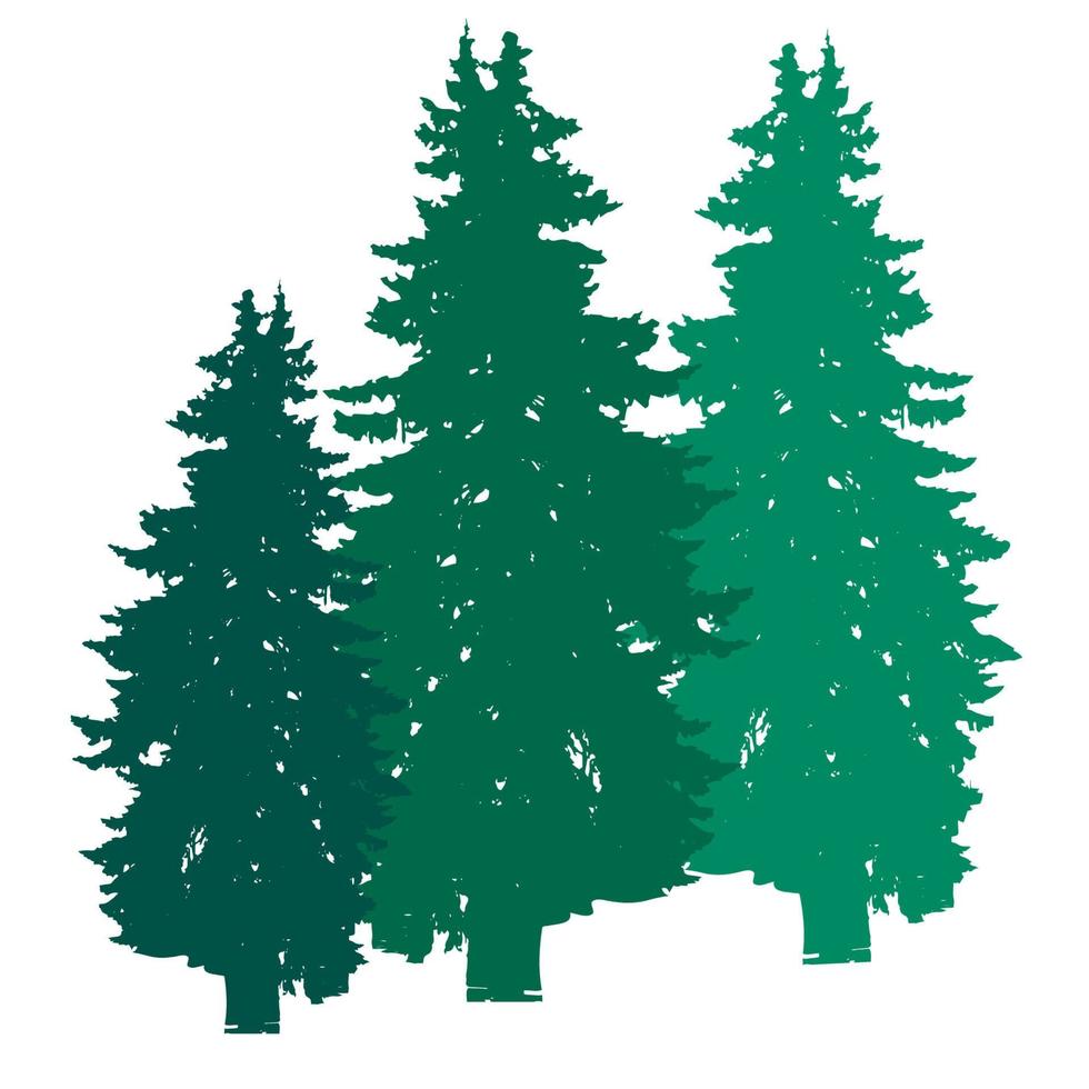 Spruce tree realistic silhouette isolated on white background. vector