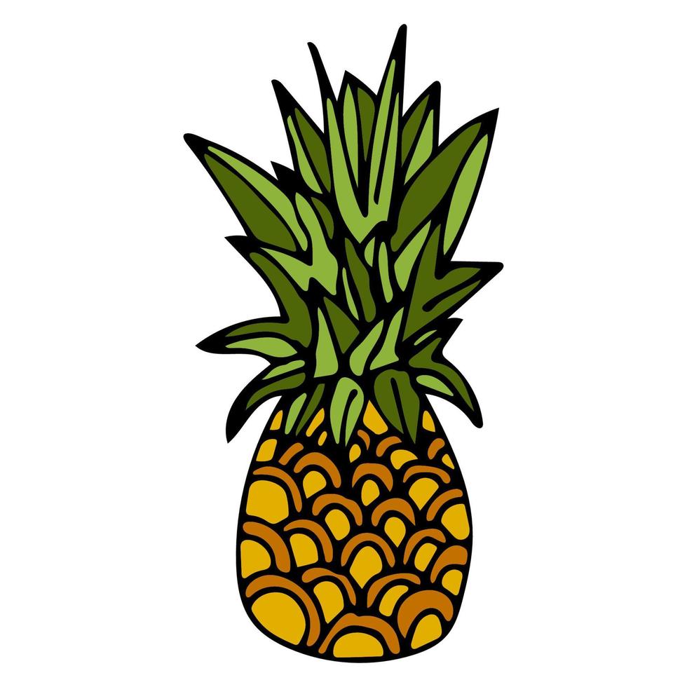 Hand drawn pineapple with black outline isolated on white background. Cartoon pineapple. vector