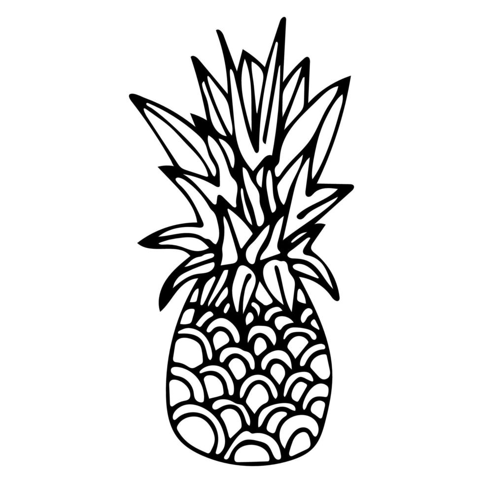 Hand drawn pineapple of black outline isolated on white background. Cartoon pineapple. vector