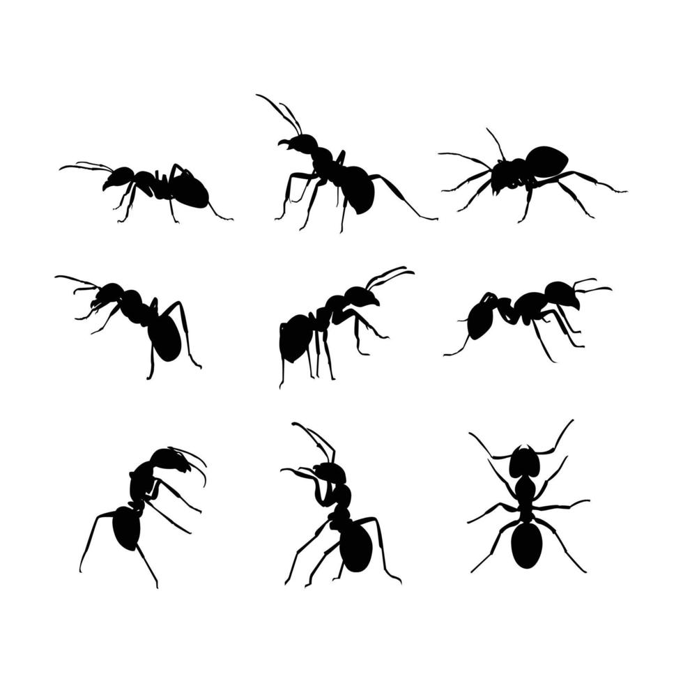 cute ant animal silhouette illustration vector