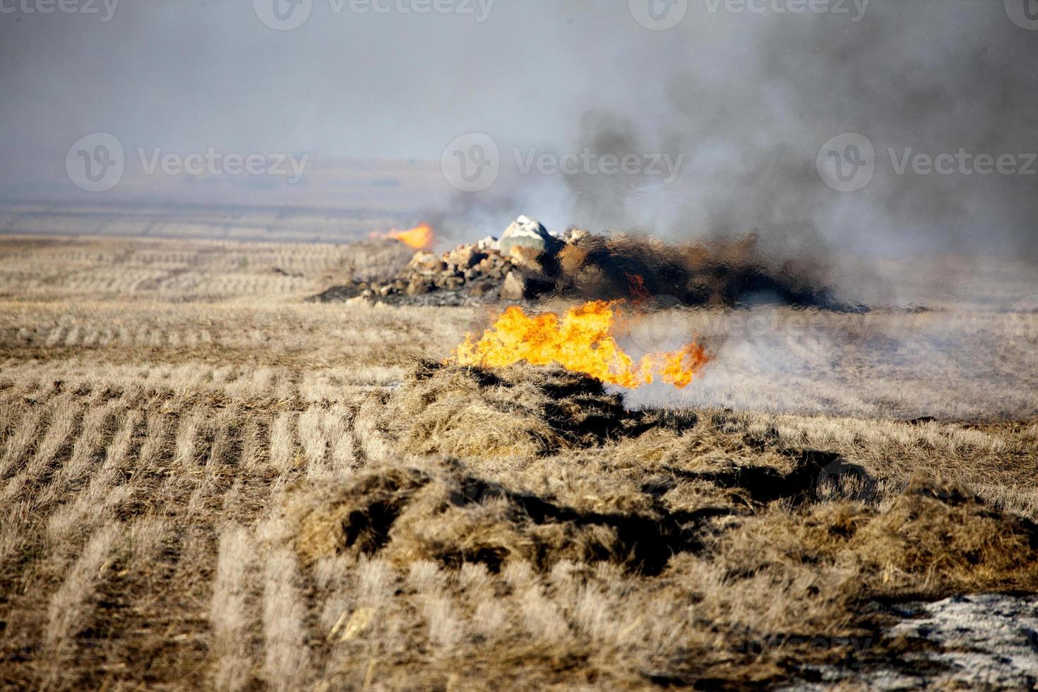 quemadura de rastrojo de la pradera foto