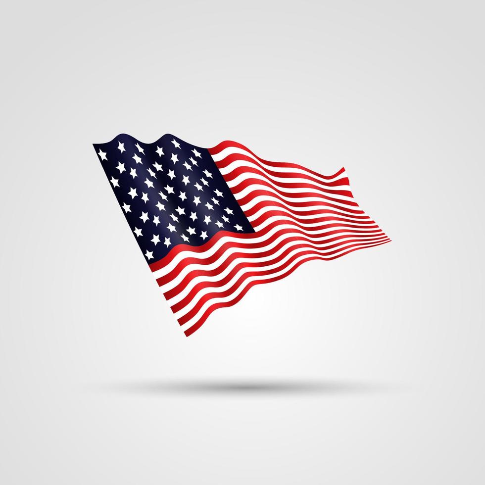 Flag of the USA , isolated on white vector