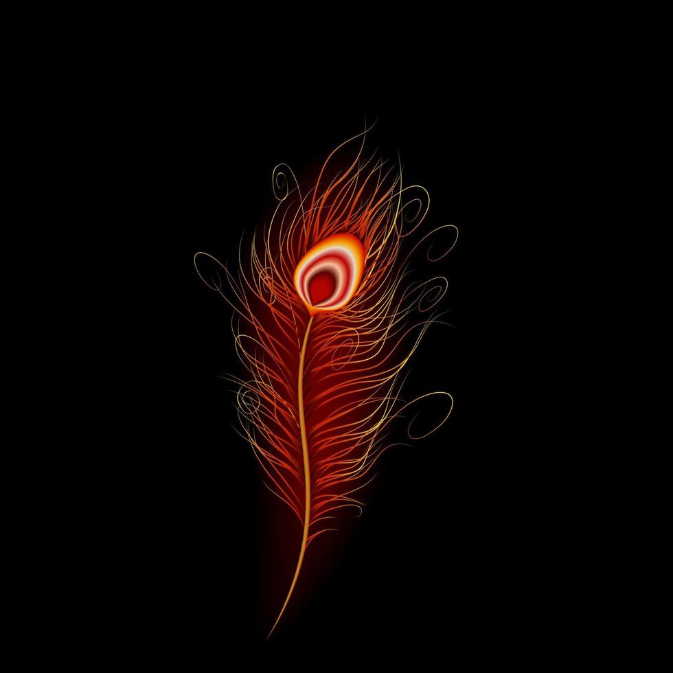 pluma de pavo real ardiendo en el fuego con fondo negro vector