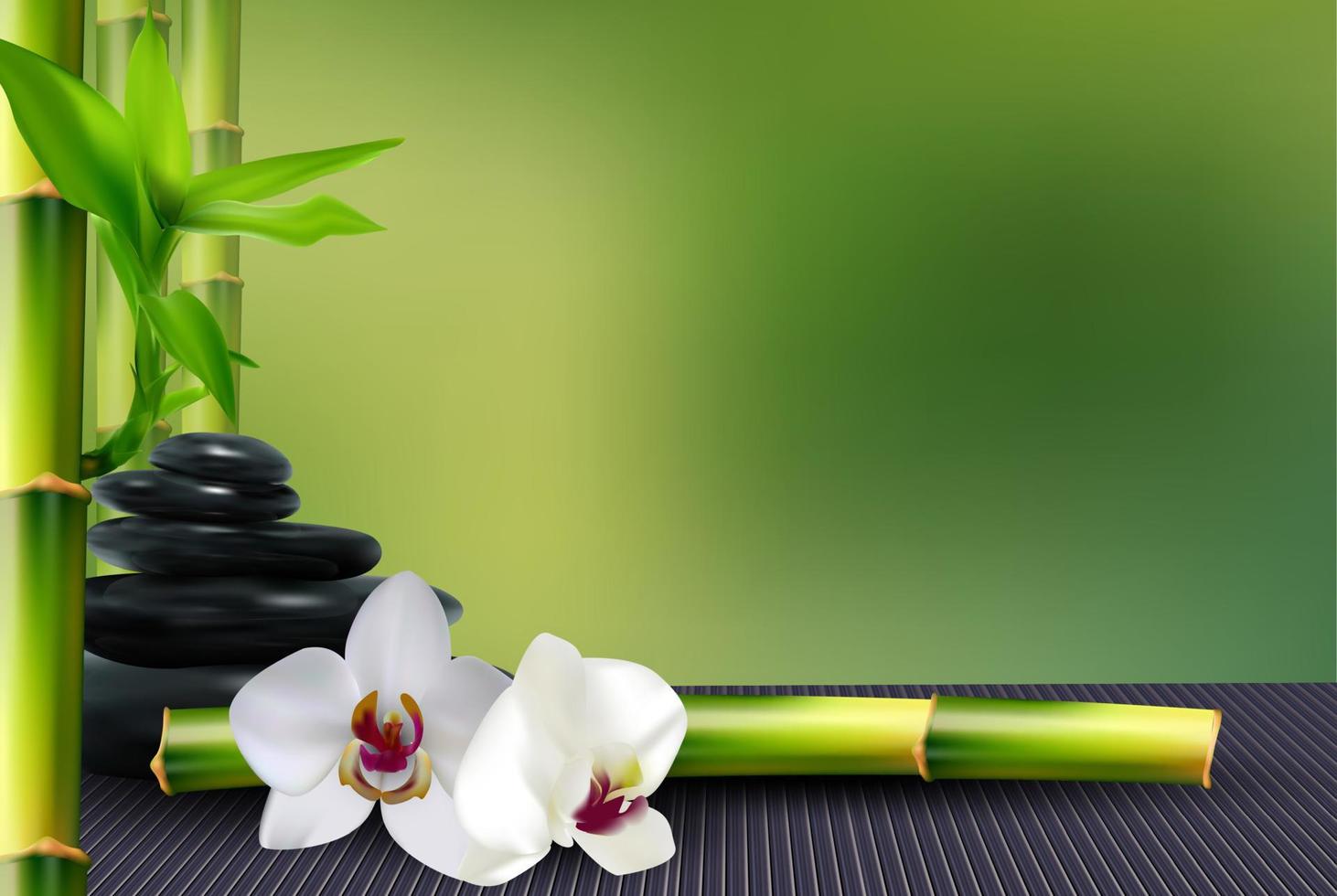 Stone, flower and bamboo on the table background. vector