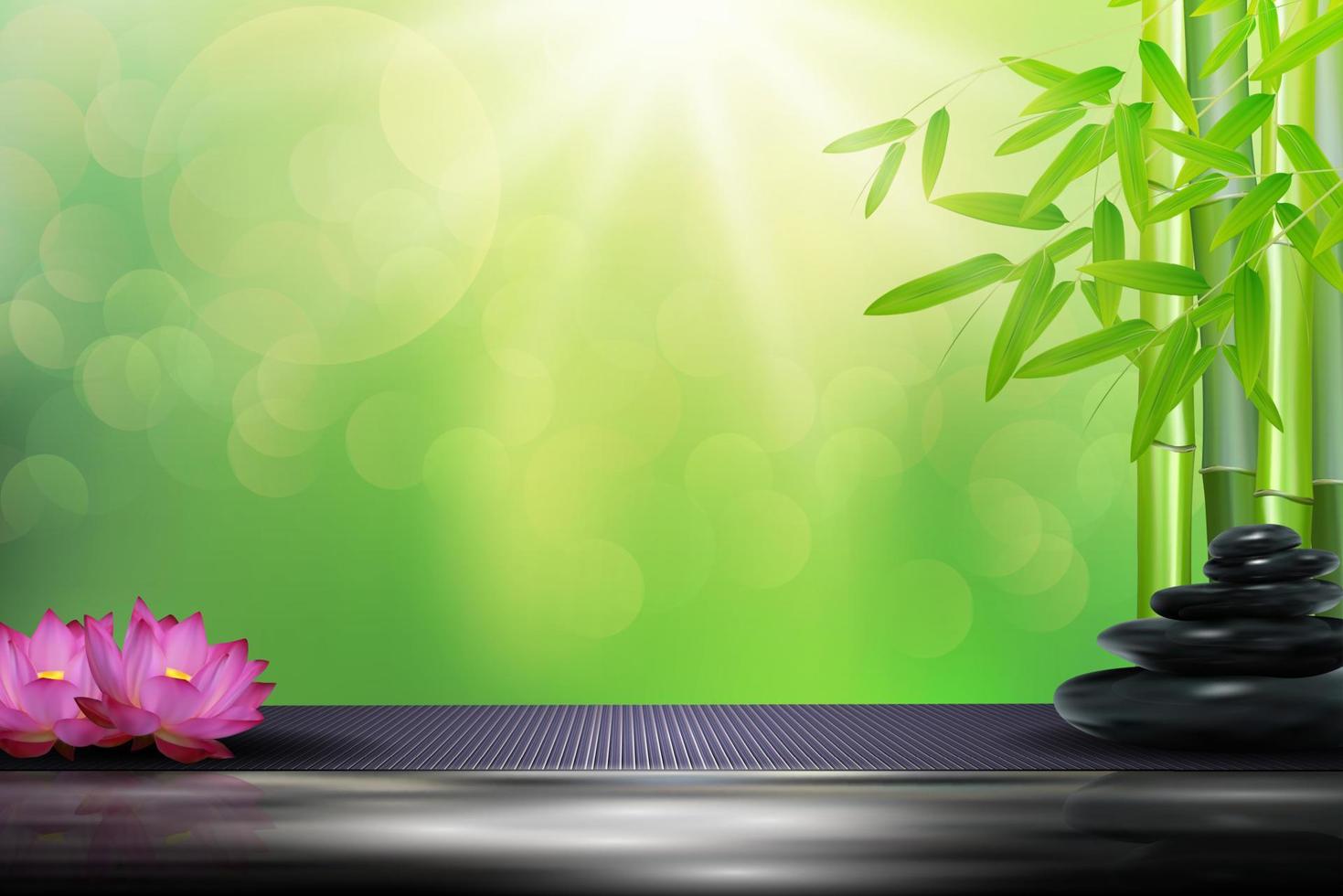 Bamboo, flowers, stone background  on the big stone . vector