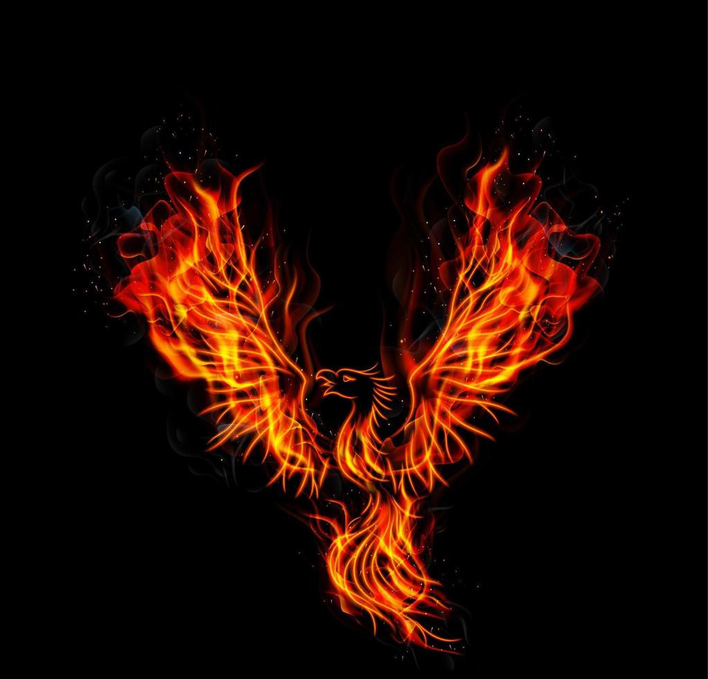 Fire burning Phoenix Bird with black background vector