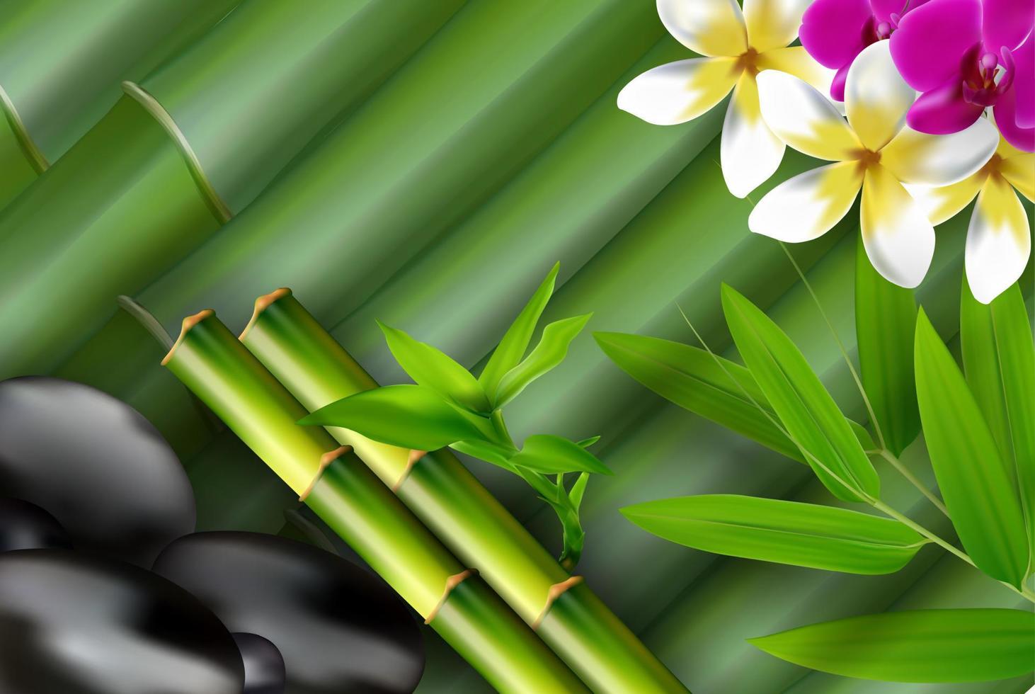 Bamboo, stones, bamboo leaf and flower background. vector