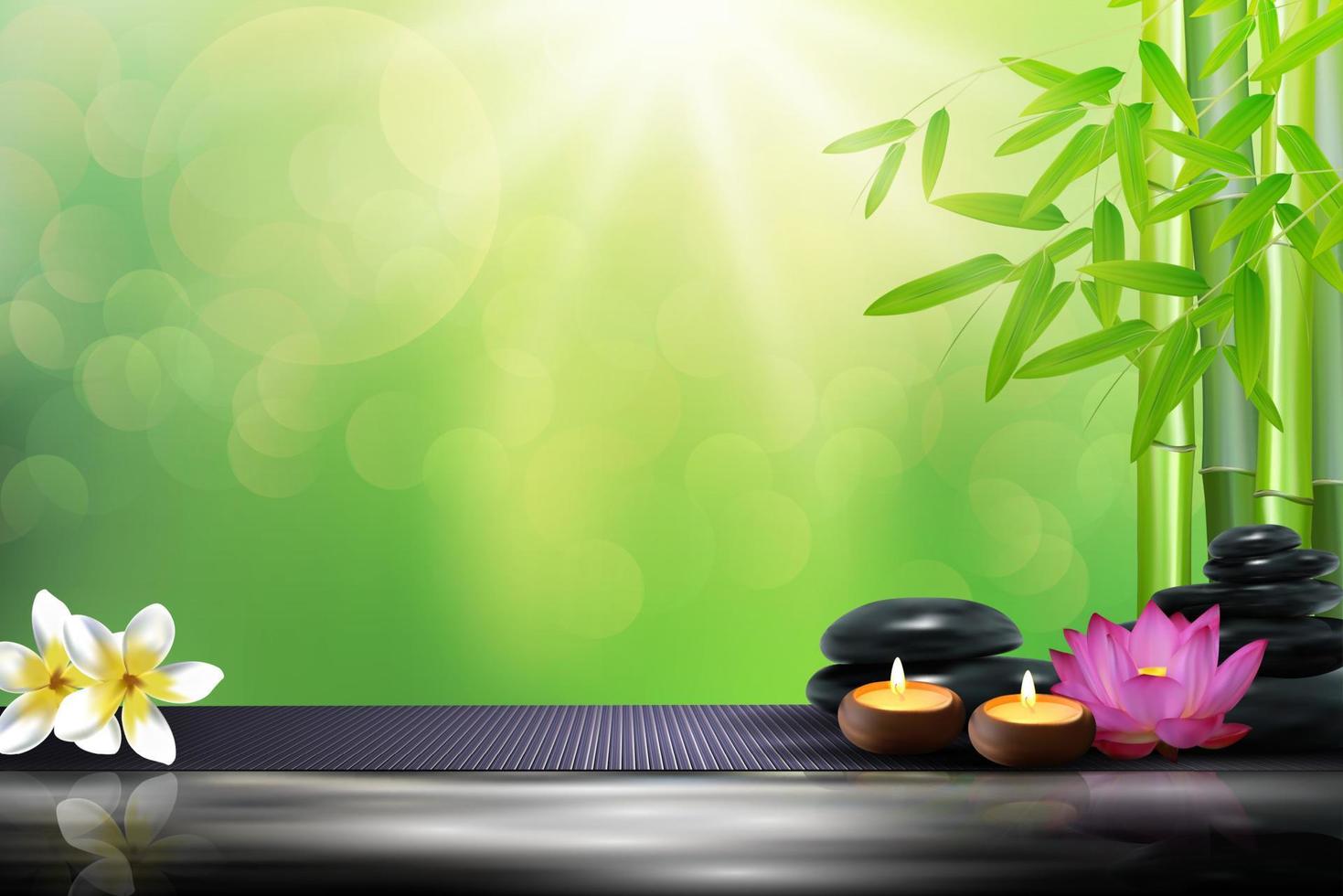 Bamboo, flowers, stone, wax and background  on the big stone . vector