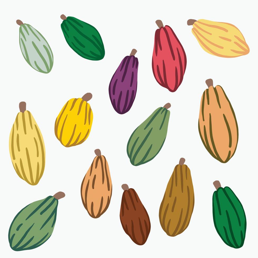 Dibujo de garabatos de frutas de cacao sobre fondo blanco. vector