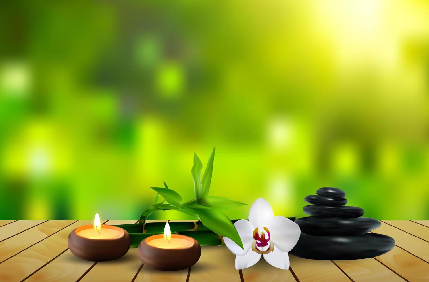 Stone, flower, wax and leaf on the table background. vector