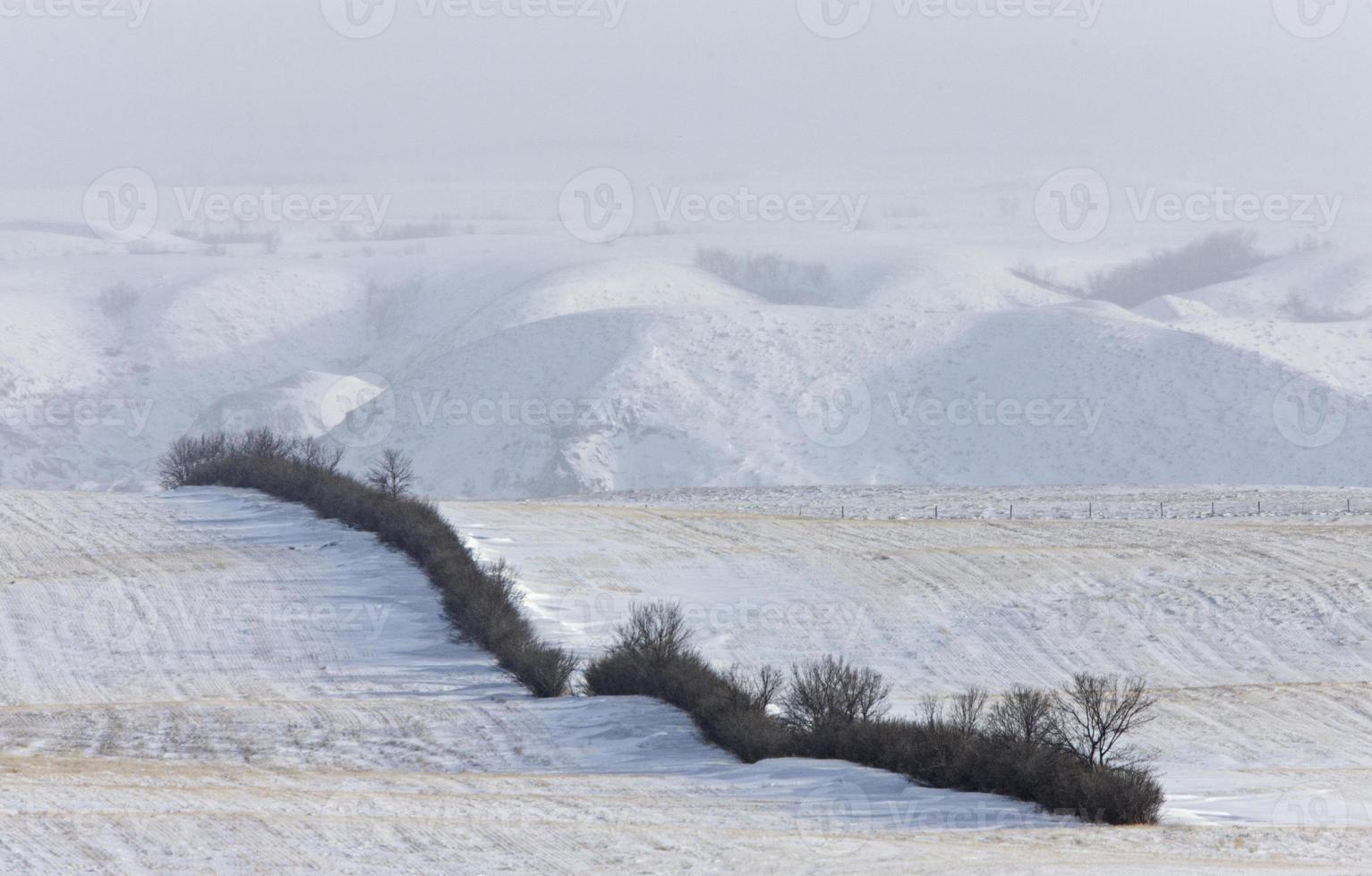 Winter Scene Saskatchewan Badlands photo