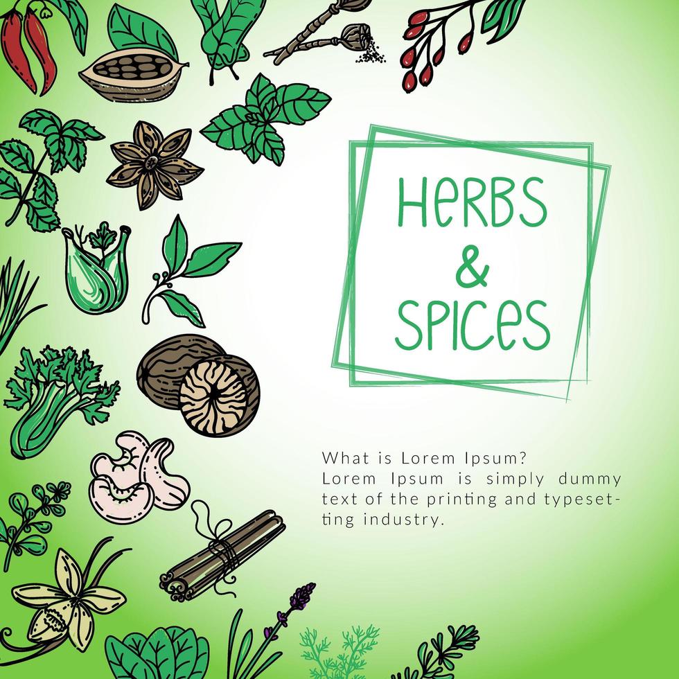 Herb and spice package design template, drawn element in style. Herbs mint, thyme, spinach, rosemary, basil, etc. Logo in a trendy linear style. vector