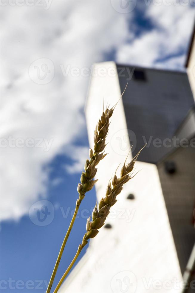 elevador de granos saskatchewan foto