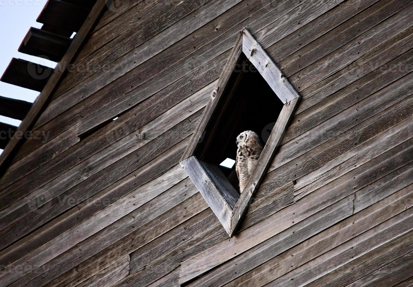 Prairie Barn Saskatchewan photo