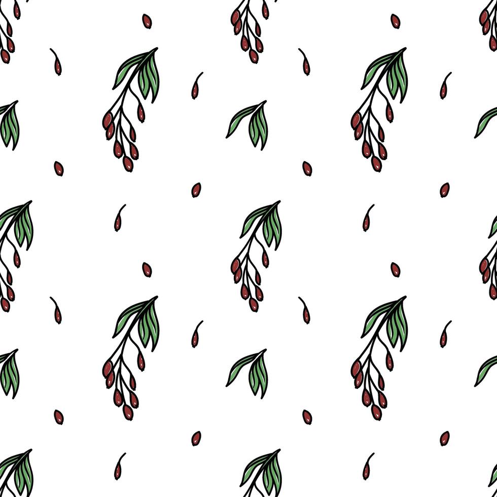 Seamless barberry pattern, drawn element in doodle style. Culinary, Kitchen. Herbs and spices - barberry branch, leaves and berries. Pattern in a trendy linear style. vector