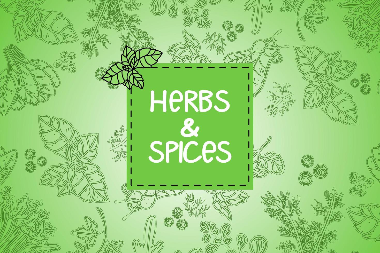 hierbas y especias, ilustraciones vectoriales dibujadas a mano. boceto de comida dibujado a mano. culinario. plantas aromáticas. diseño de tarjeta estilo de boceto diseño de silueta de especias y hierbas. en un color verde de moda. vector