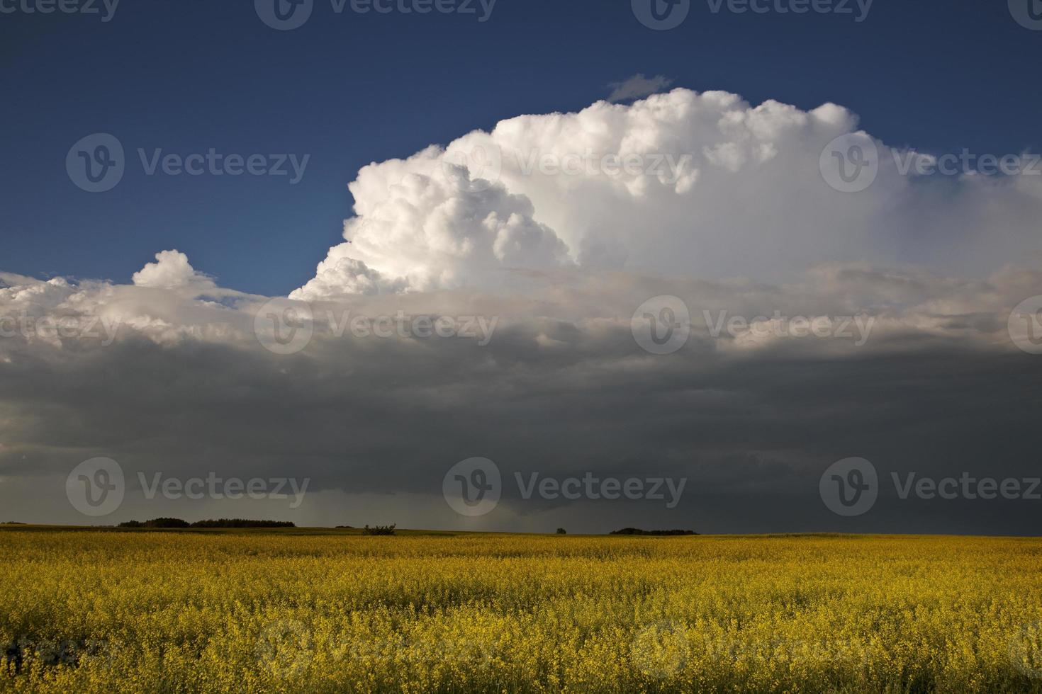Prairie Storm Clouds photo