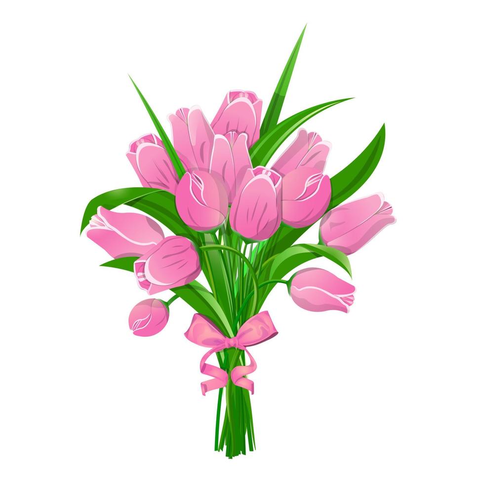 Bouquet of pink tulips with a tap bow and ribbons. Isolated on a white background. vector