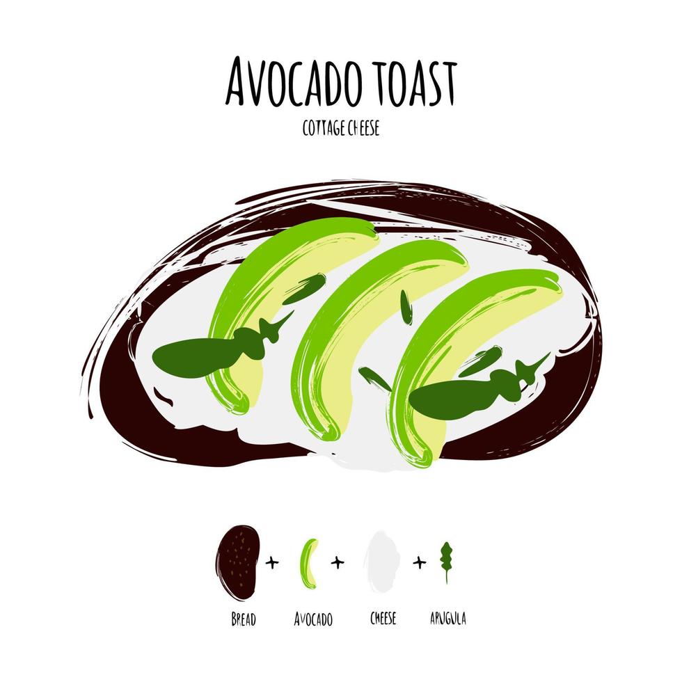 Vector illustration avocado toasts with cream cheese Isolated.