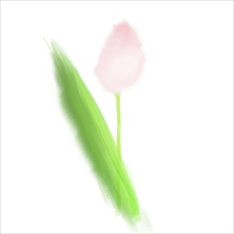 ilustración vectorial tulipán rosa en estilo acuarela sobre blanco vector
