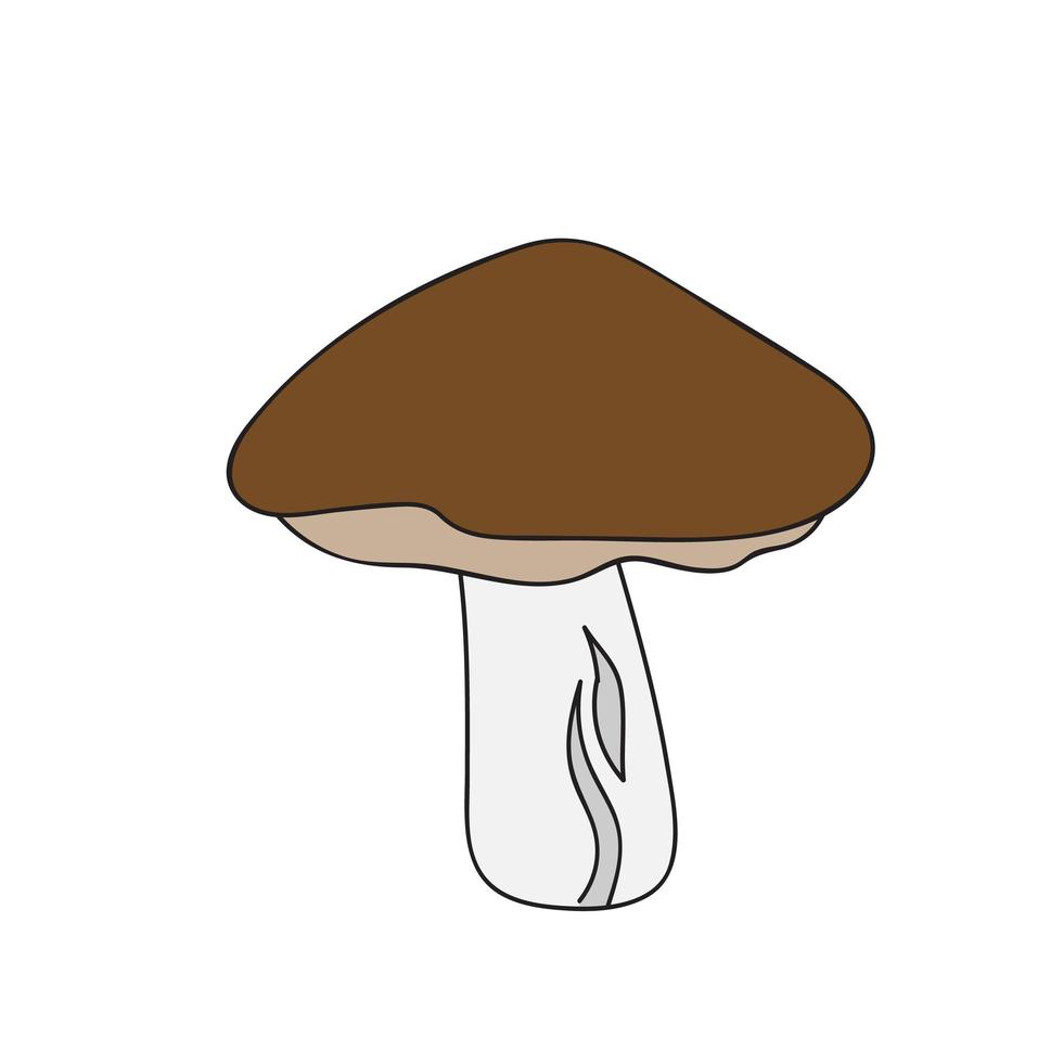 Boletus mushroom in simple hand drawn style. Vector illustration