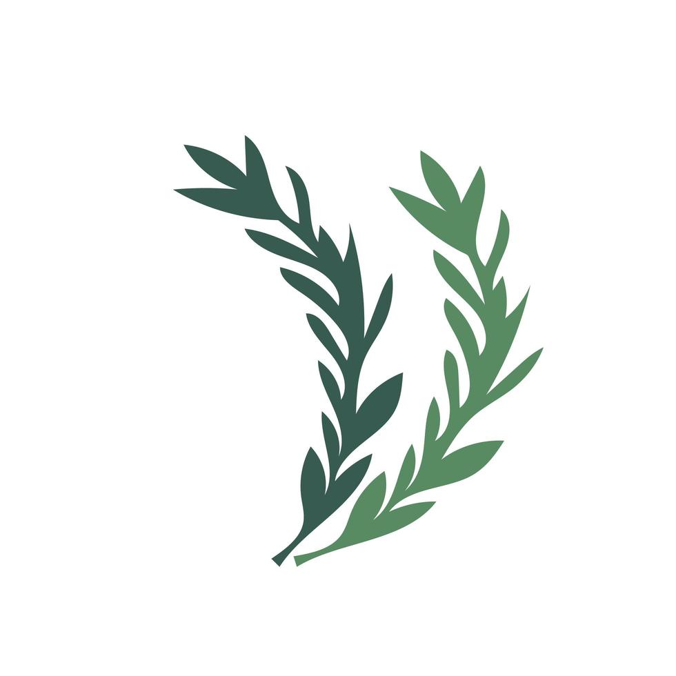 Simple hand drawn rosemary branches and leaves isolated. Vector on white