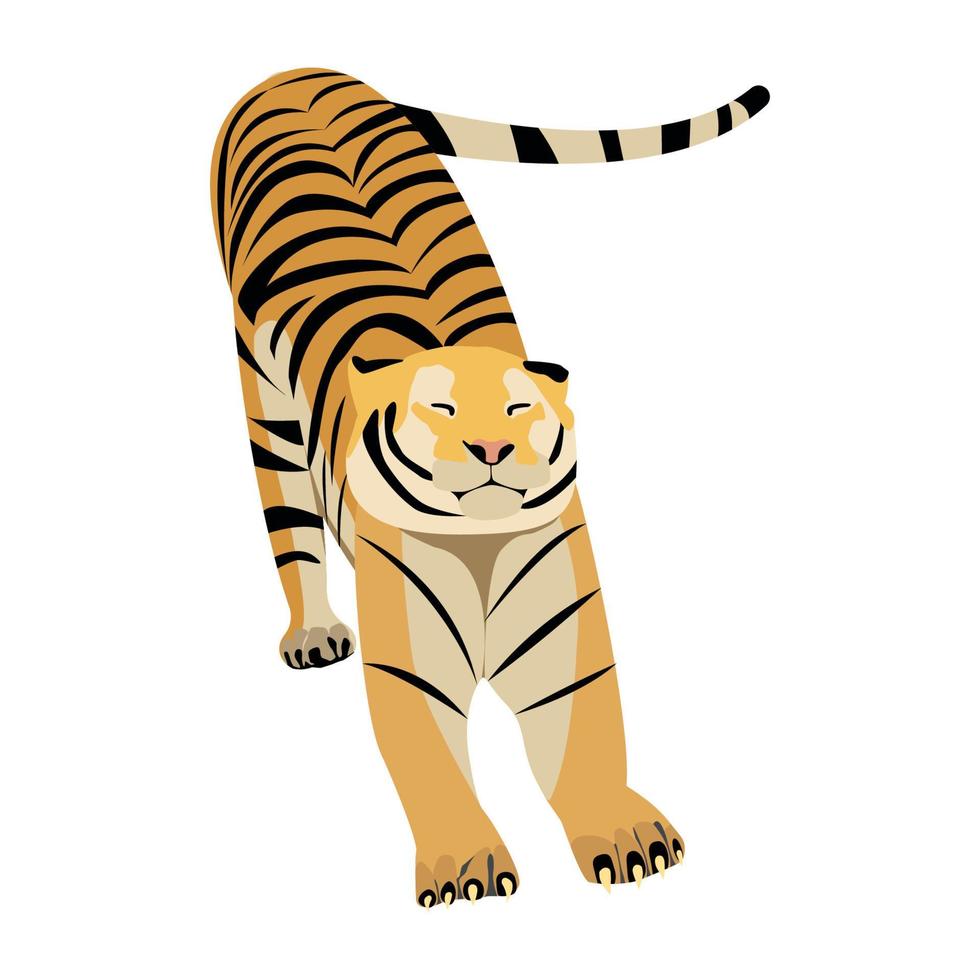 Tiger Waking Up from the Sleep vector