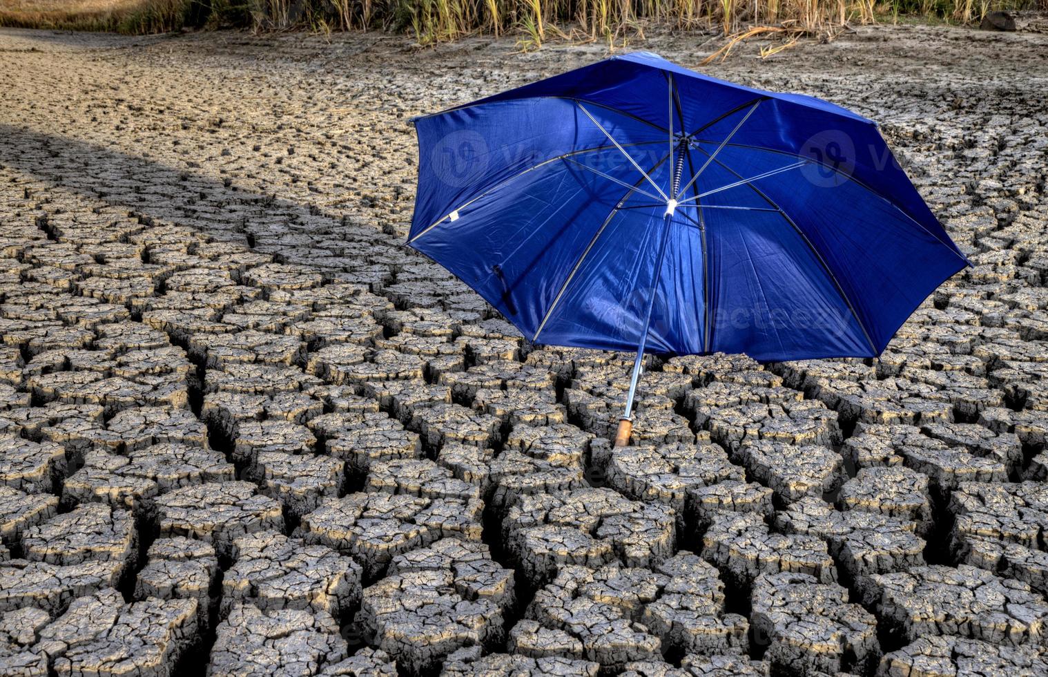 Dried up River Bed photo