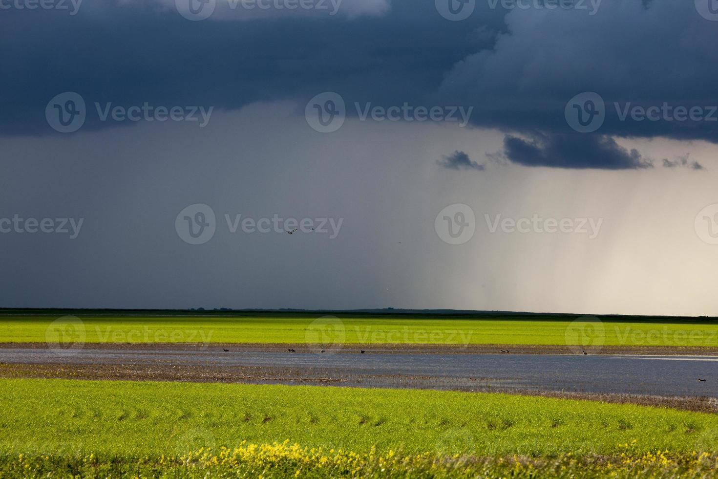 Prairie Storm Clouds photo