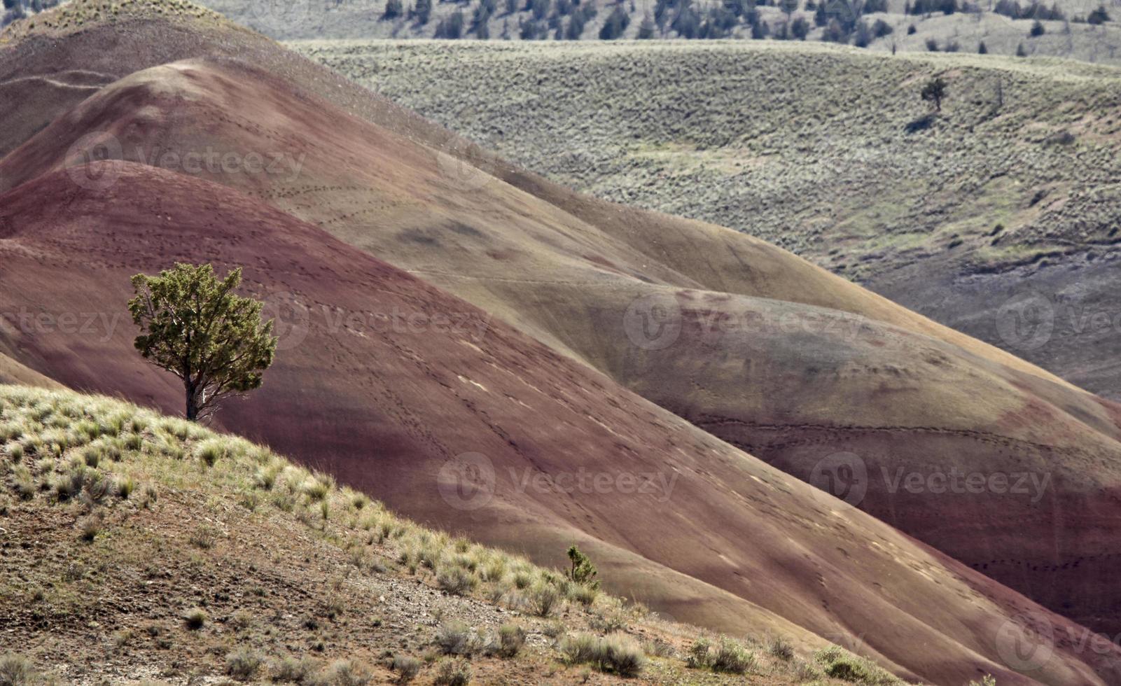 Painted Hills Oregon photo