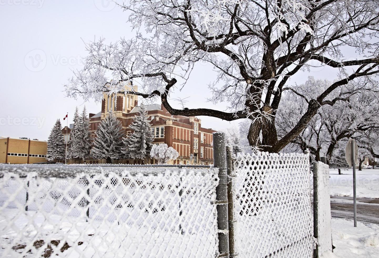 Hoar Frost Prairie photo