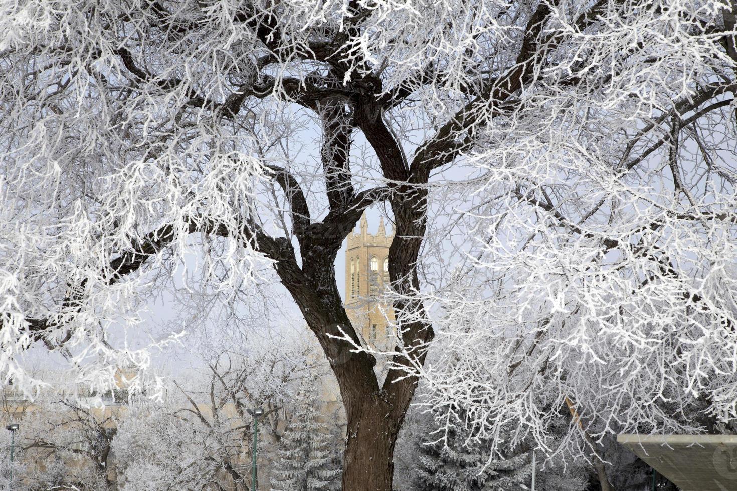 Hoar Frost Prairie photo