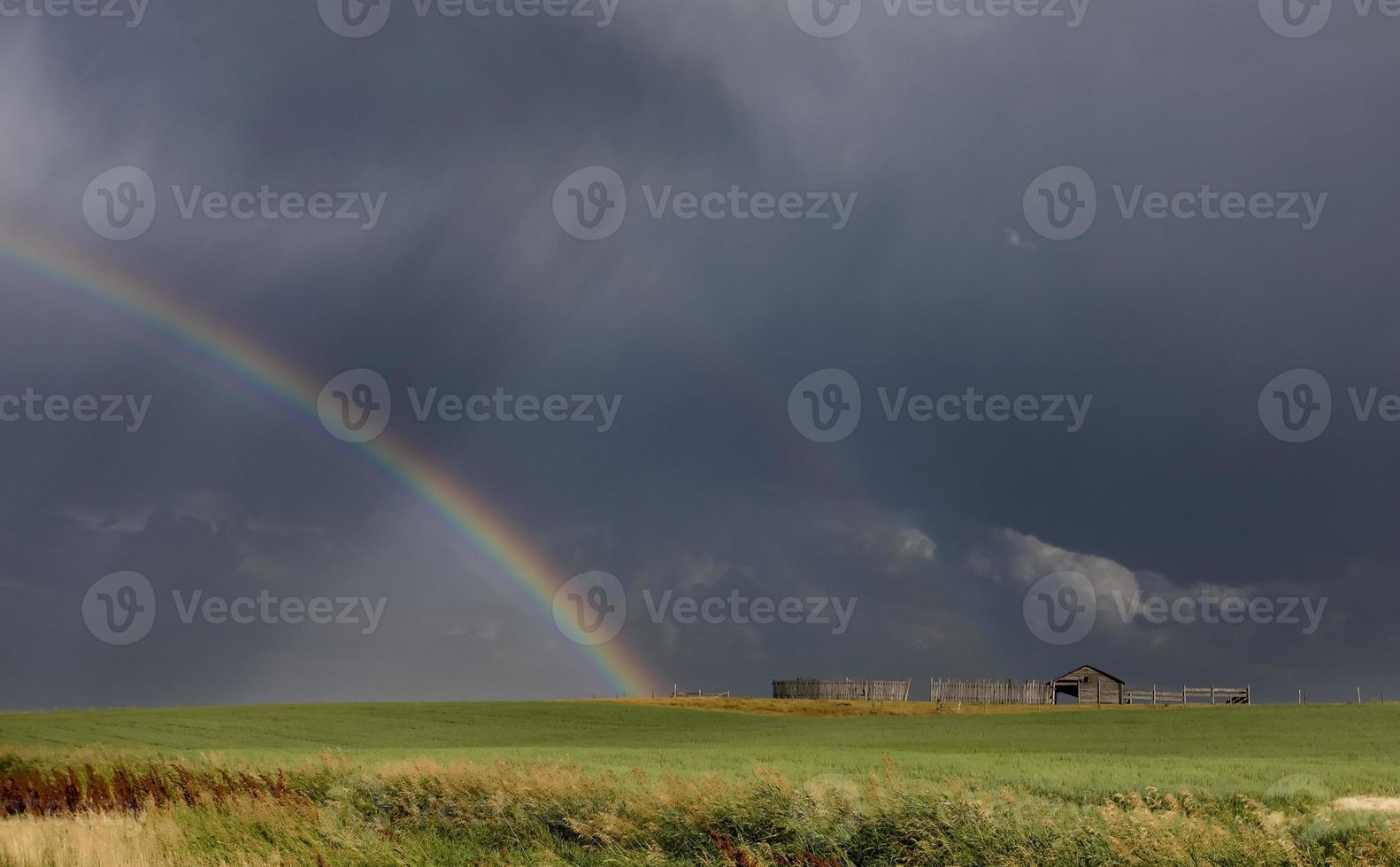 pradera granizo tormenta y arcoiris foto