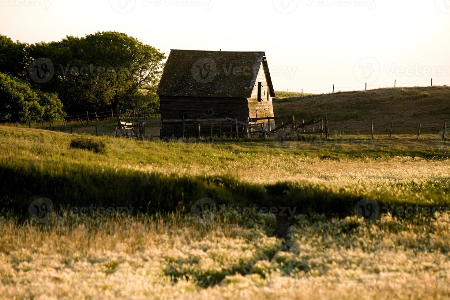 Prairie Barn Saskatchewan photo