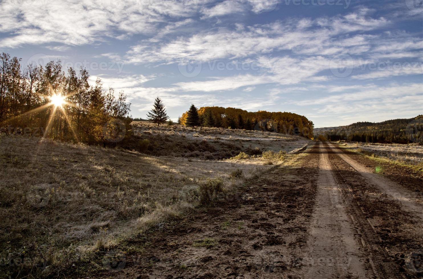 colores de otoño cypress hills canadá foto