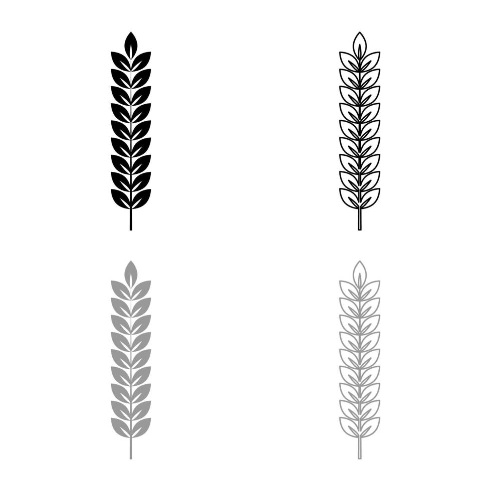 Spikelet of wheat Plant branch icon outline set black grey color vector illustration flat style image