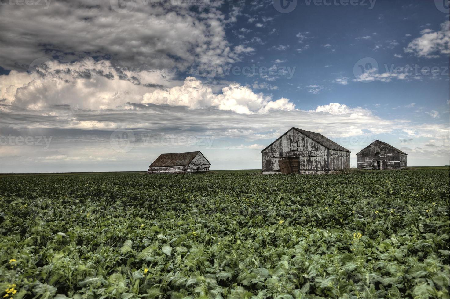 Prairie Storm Clouds photo