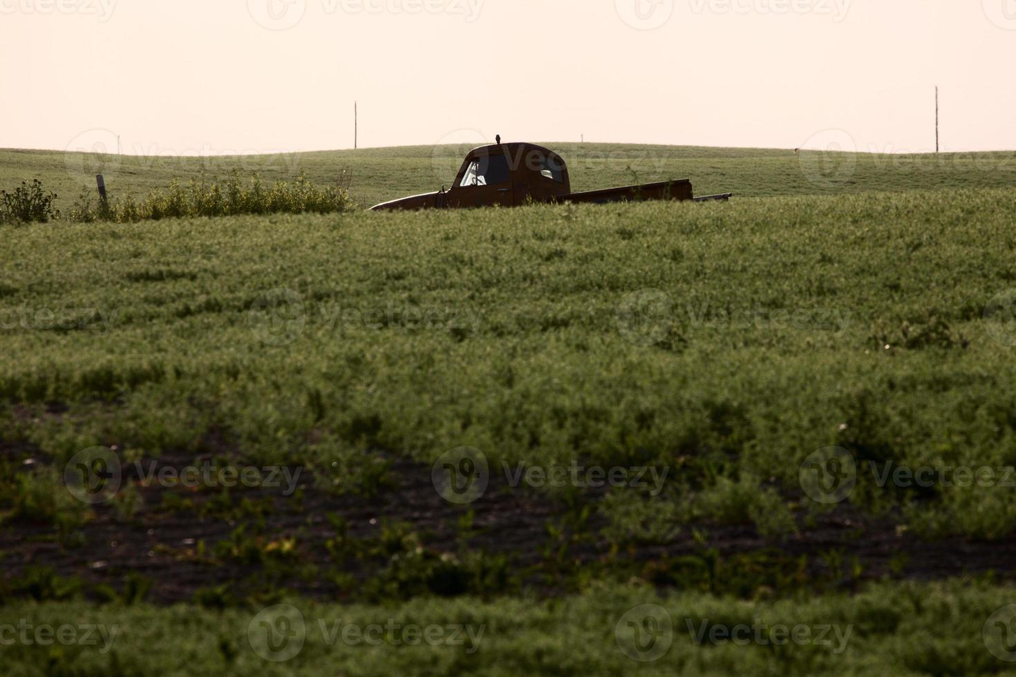 Saskatchewan Farmland in Summer photo