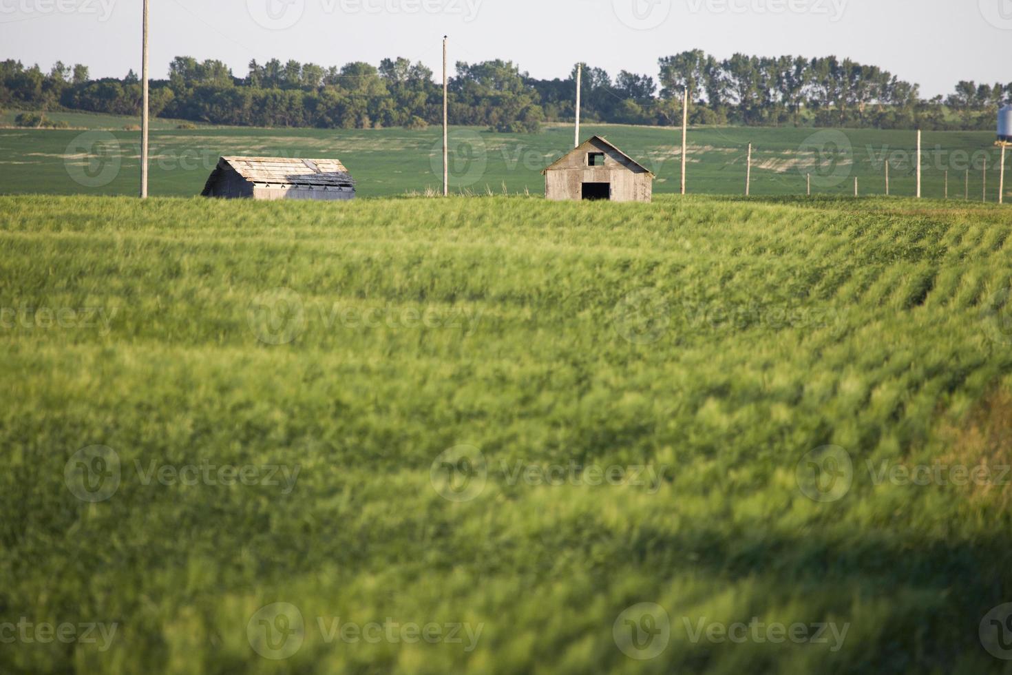 Abandoned Farm Buildings photo