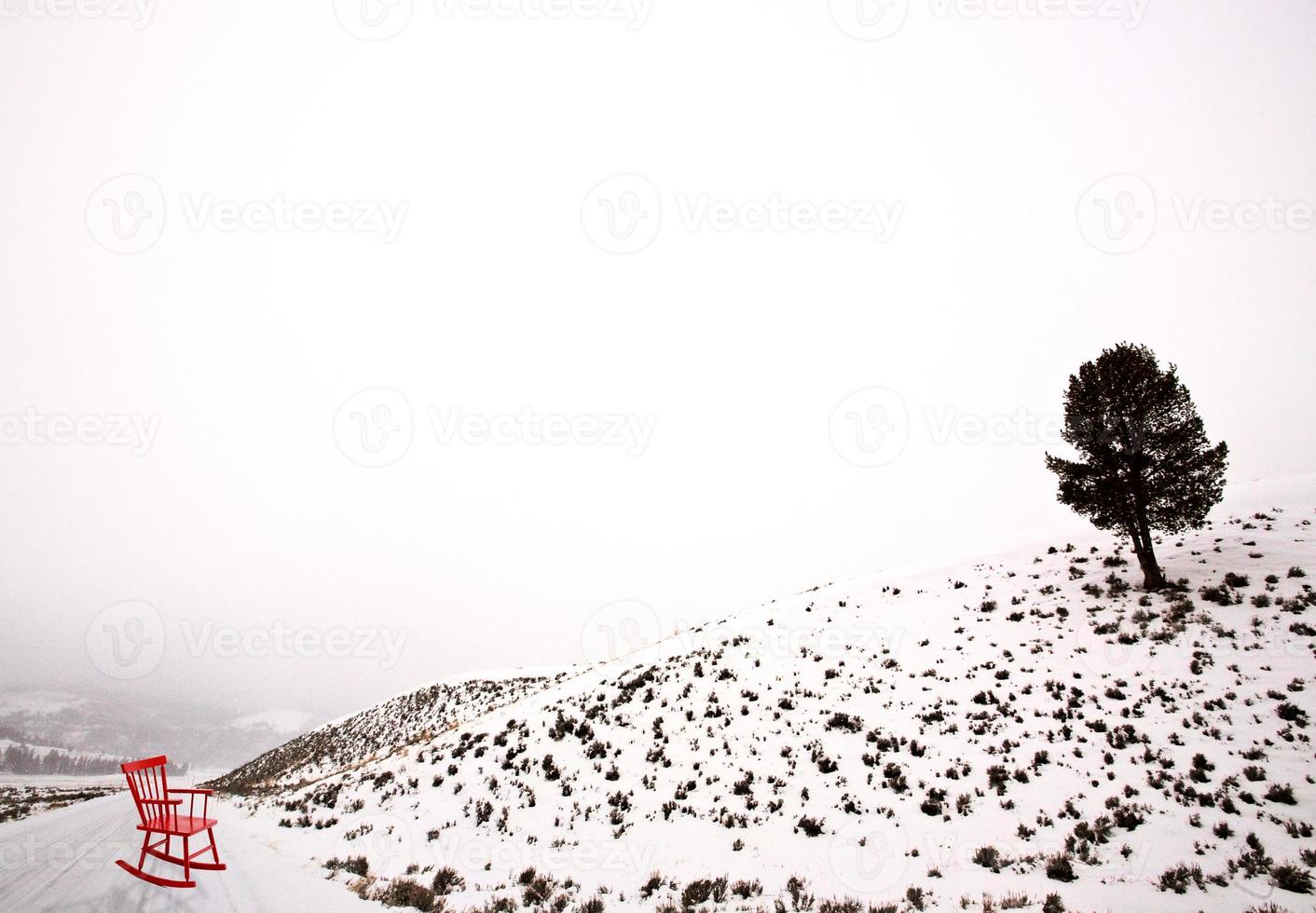 Lamar Valley Winter photo