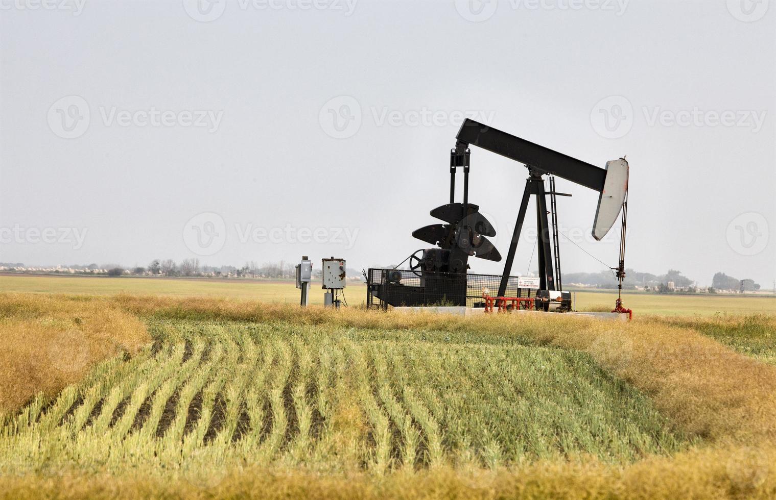 toma de aceite saskatchewan foto