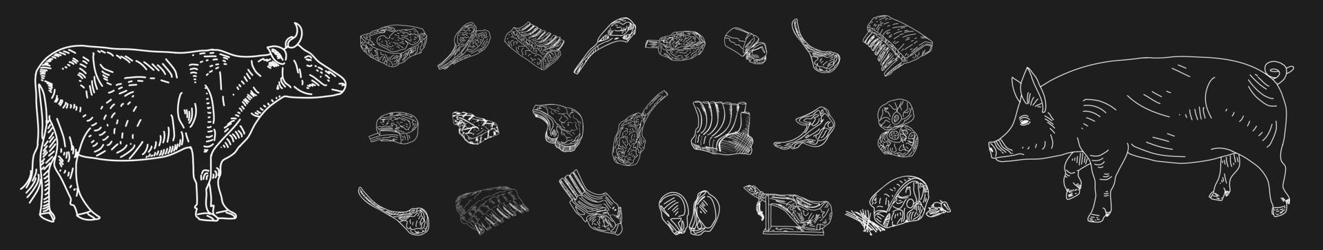 Vintage Butcher shop hand-drawn on a black chalkboard background. vector