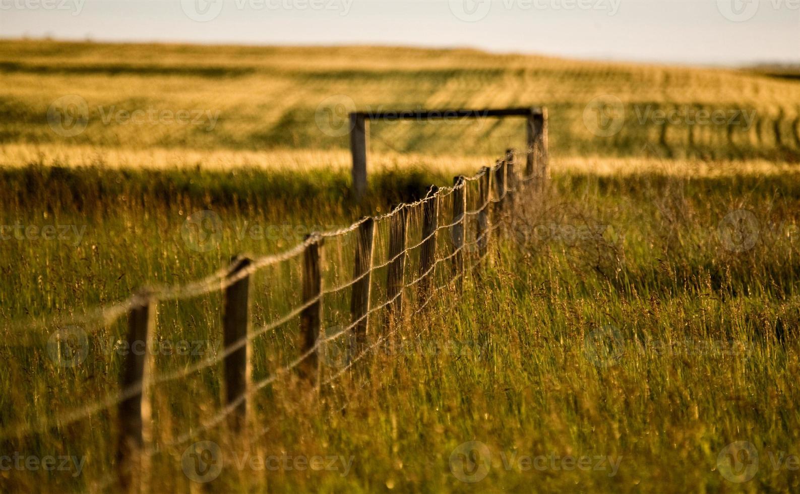 Prairie Fence Line photo