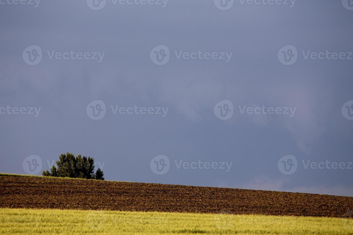 pradera nubes de tormenta foto