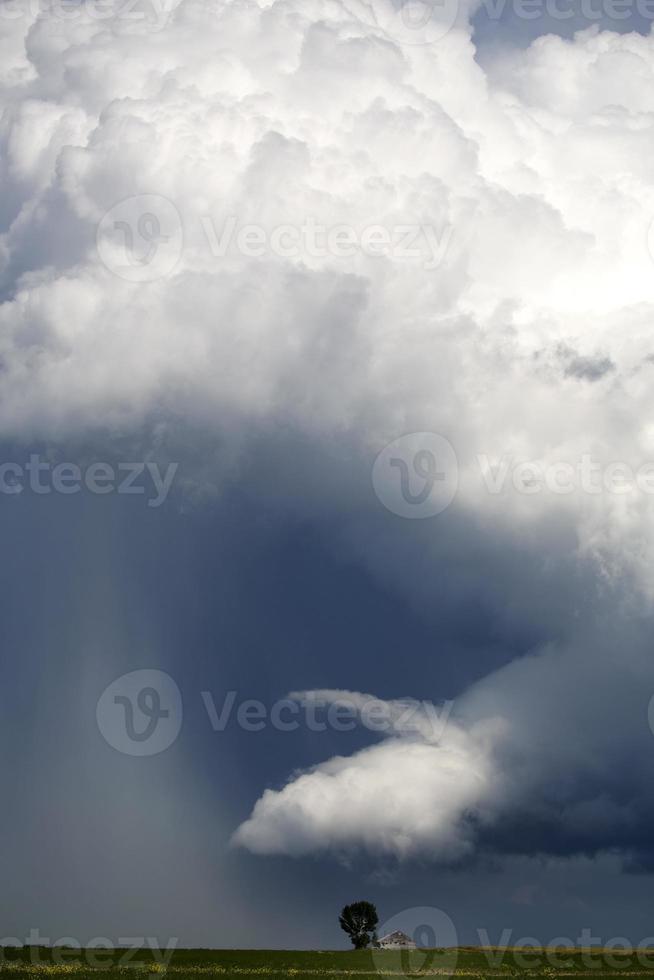 pradera nubes de tormenta foto