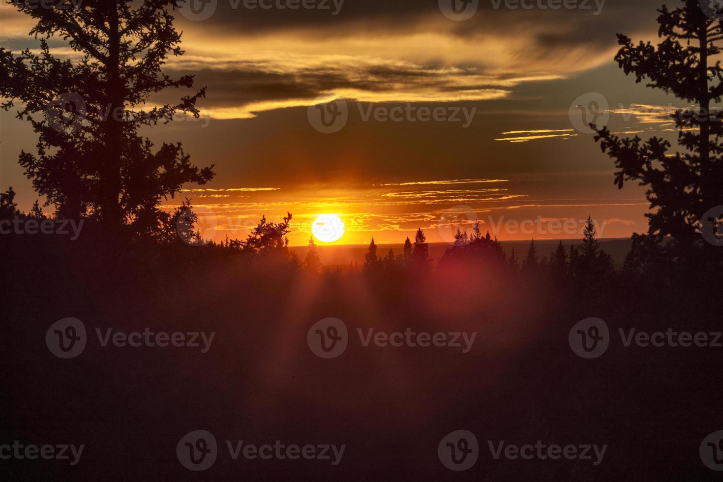 Autumn Colors Cypress Hills Canada photo