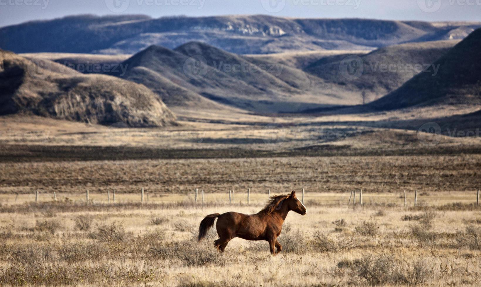 badlands canadá saskatchewan foto