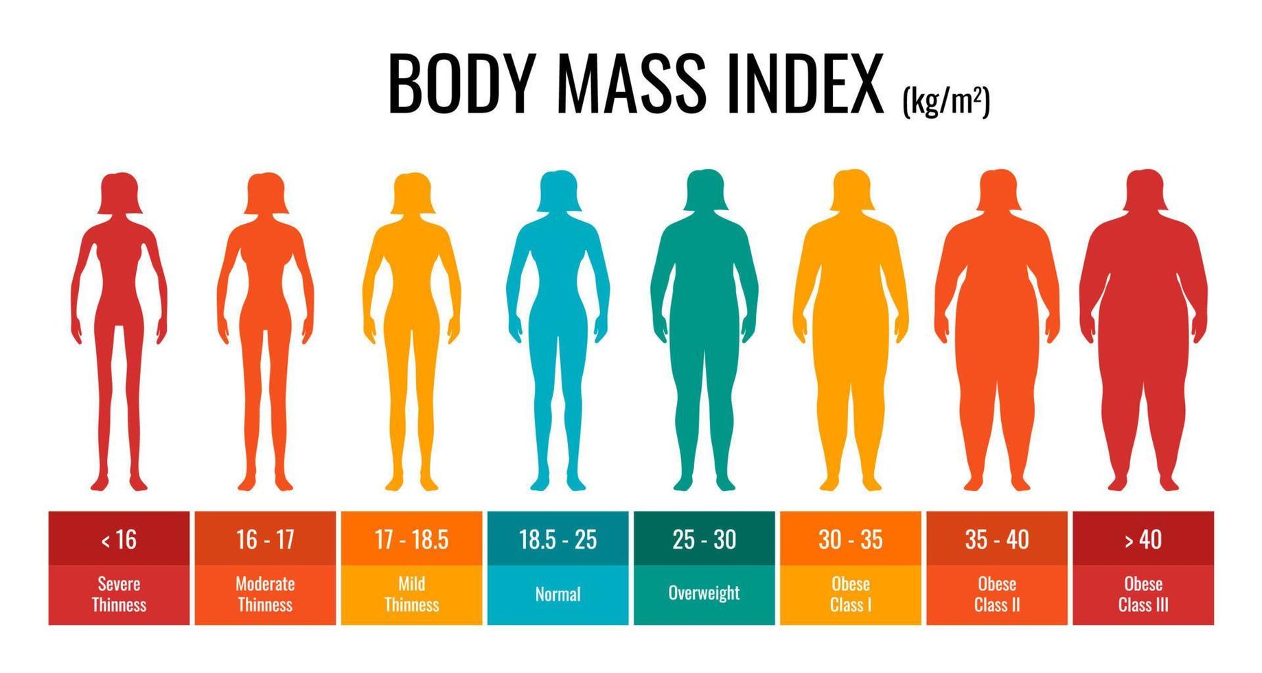 conjunto de mujer de medición de tabla de clasificación bmi. infografía del índice de masa corporal femenina con estado de peso desde bajo peso hasta obesidad severa. gráfico de control de masa corporal médica. ilustración de pasos vectoriales vector