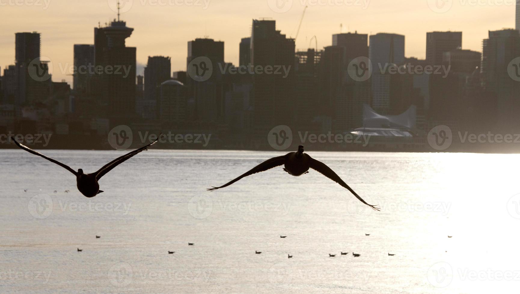 horizonte de vancouver canadá foto