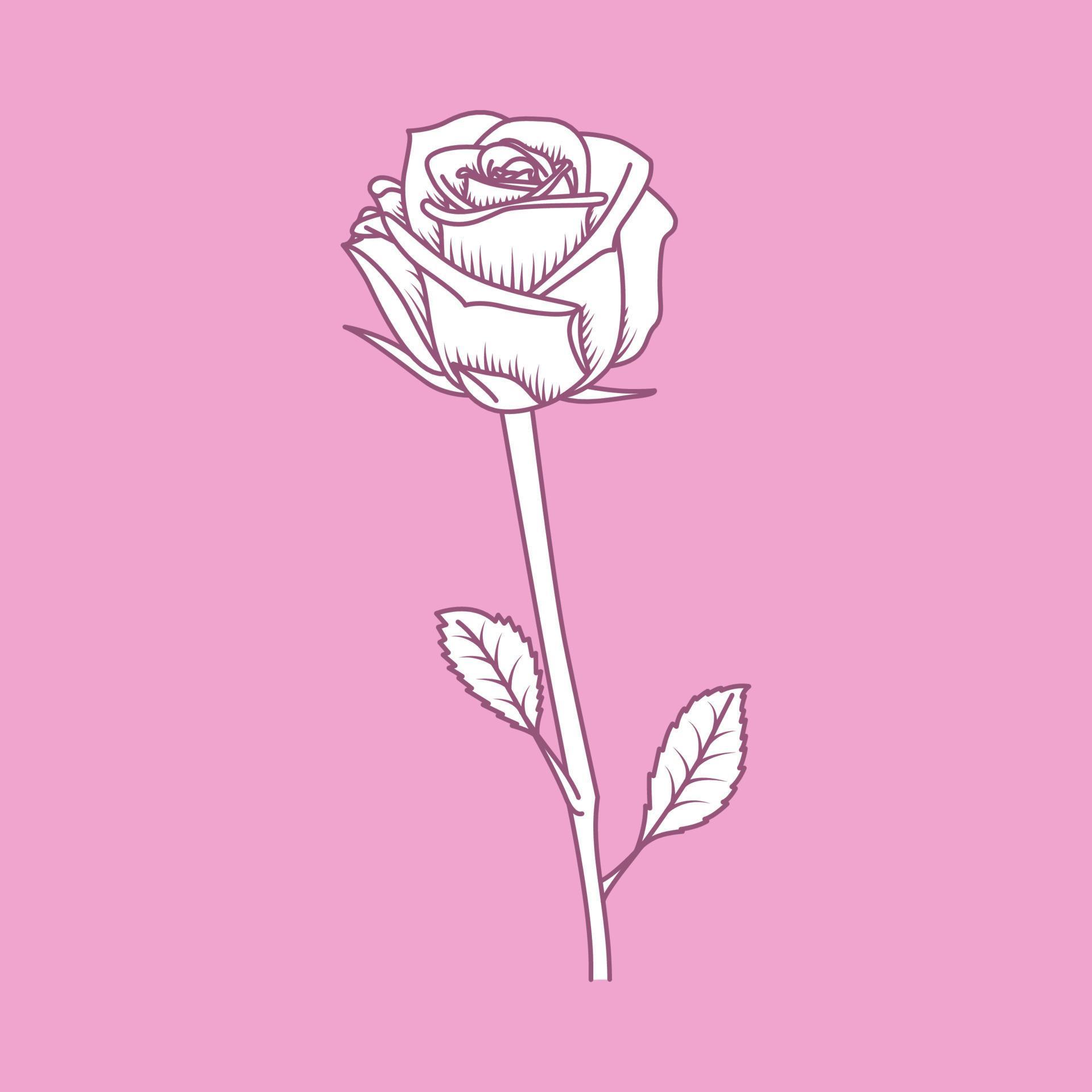 Rose Outline on Pink Background 5905486 Vector Art at Vecteezy